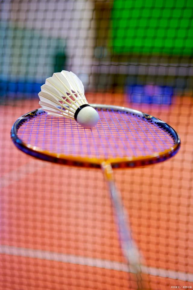 总冠军旗帜 总冠军旗帜