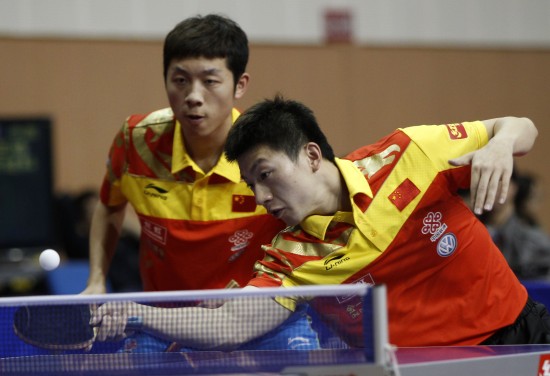 张本智和突 张本智和突