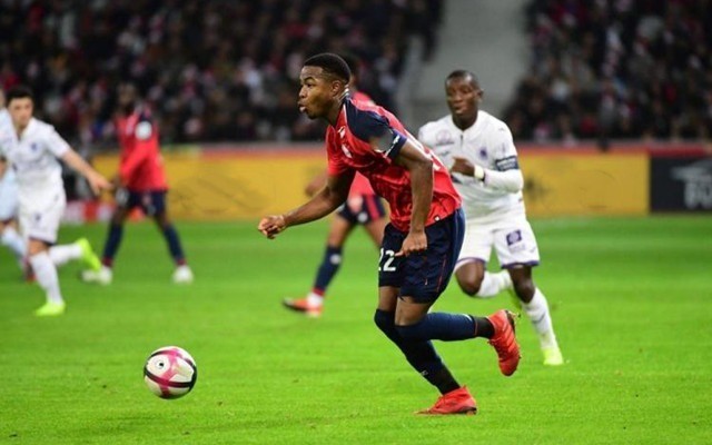 国际关注 国际关注