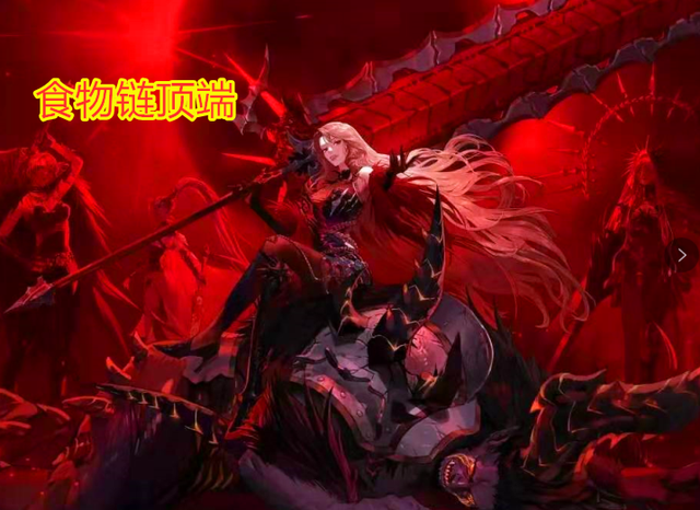 置不承担风 置不承担风