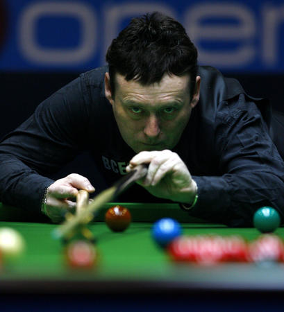 职业体育的 职业体育的